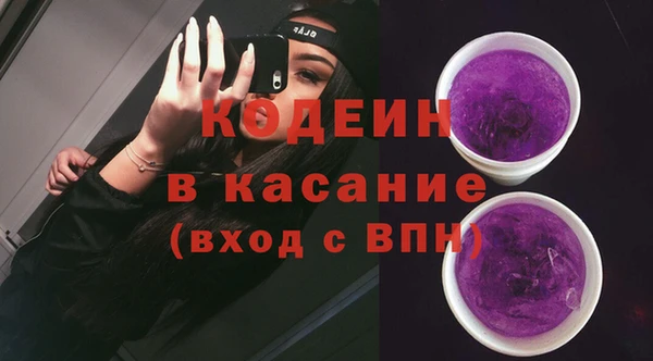 шишки Богородицк